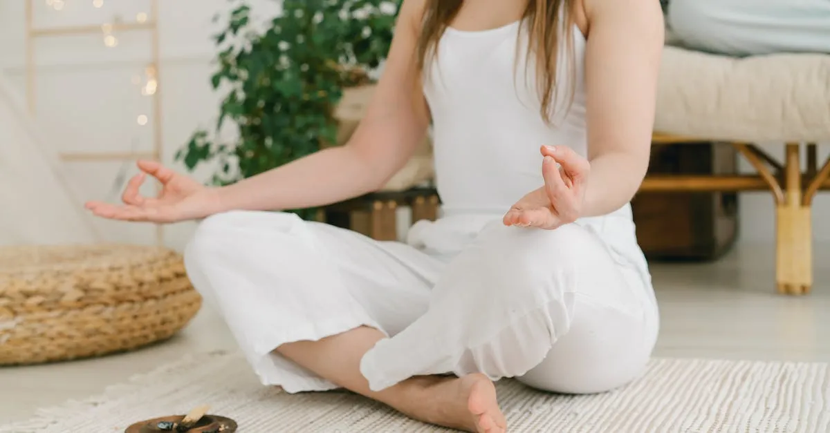 Bouda : pourquoi ce zafu mérite une place dans votre pratique