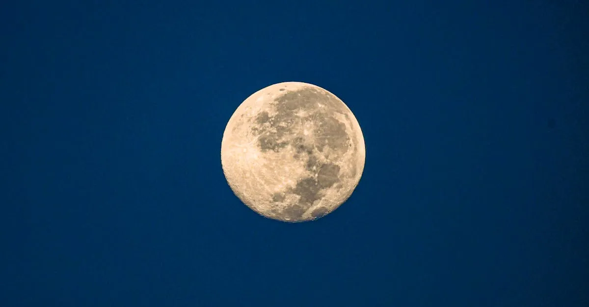 Pleine lune fevrier 2025 : rituels, horaires et routines bien-être pour la lunaison