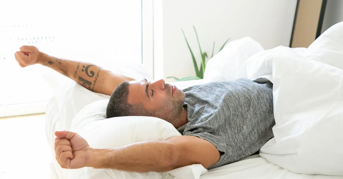 Voltere : rituel doux pour réveiller le corps et l’esprit